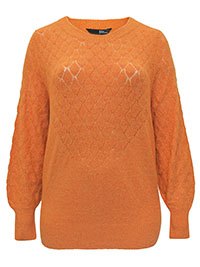 Curve ORANGE Pointelle Knit Jumper - Plus Size 14/16 to 26/28