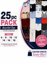 Mix lot of 25 branded tops size 6 to 20