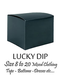 25pc LUCKY DIP Ladies CLOTHING Assorted Plain & Printed Label Intact - Size 8 to 20