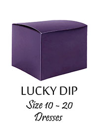 25pc LUCKY DIP Ladies DRESSES Label Intact - Size 10 to 20