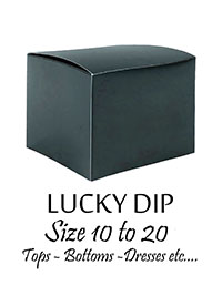 25pc LUCKY DIP Pack of Ladies Clothing Label Intact - Size 10 to 20
