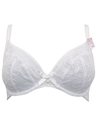 Bx WHITE Brodie Plunge Bra - Size 30 to 38 (D-DD-E-F-FF-G)