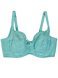 Bx DUCK-EGG Brodie Full Support Plunge Bra - Size 30 to 38 (D-DD-E-FF-G)
