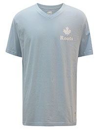 SKY-BLUE Mens Pure Cotton V-Neck T-Shirt - Size XL to XXL