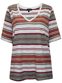 IVORY Striped Half Sleeve T-Shirt Top - Plus Size 14 to 32